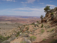 PetrifiedForest